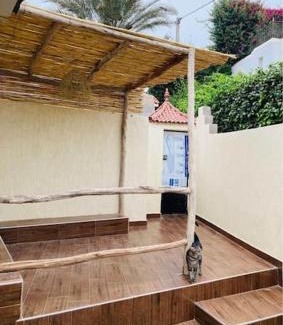 Cite Charaf House | Welcome to the comfy place
