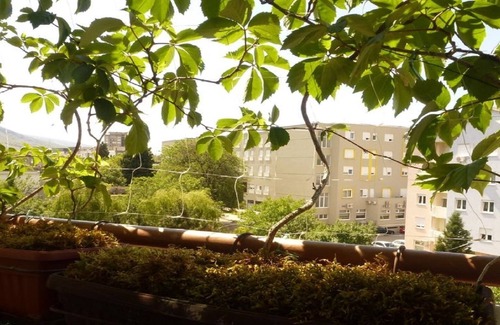 Mostar Apartment | Welcome To The Wonderful Mostar :)