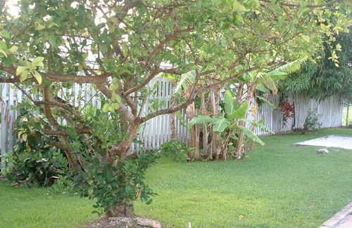Holetown Cottage | Welcome to your Cosy Caribbean cottage, minutes from the beach.