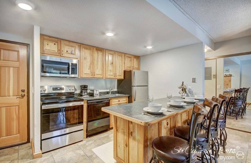 Peak 9 Condo | Well Appointed, Centrally Located Condo in Breck. Wi-Fi, Parking TE313