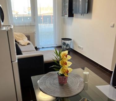 Siofok Aranypart Apartment | Wellness apartman