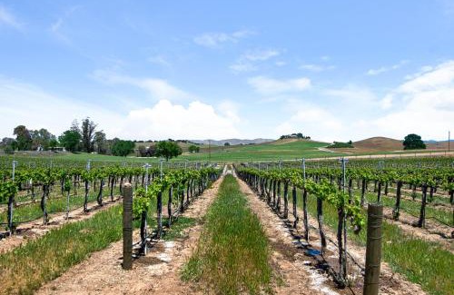 Paso Robles House | Wellsona Escape