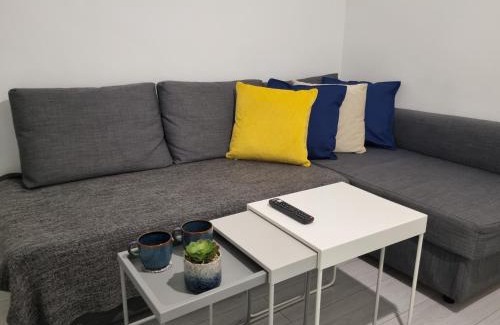 Wembley Park Apartment | Wembley Stadium and OVO Arena Apartment