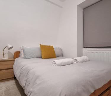 Wembley Park Apartment | Wembley Stadium and OVO Arena Apartment