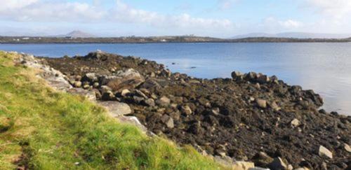 Roundstone House | West Haven