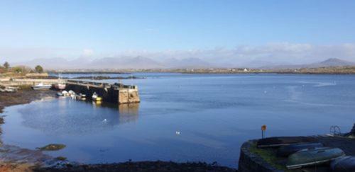 Roundstone House | West Haven