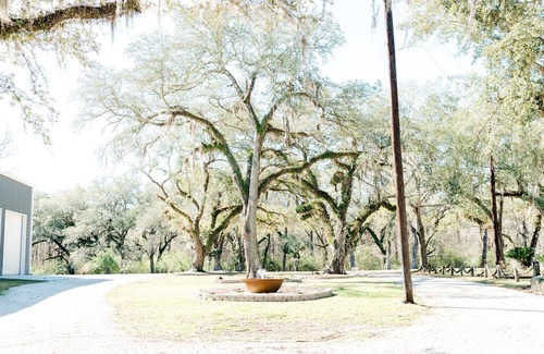 Mermentau House | West River Bend Bed & Breakfast A Cajun Cutural Experience