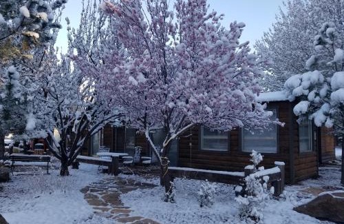 Ruidoso Cabin | West Winds Lodge