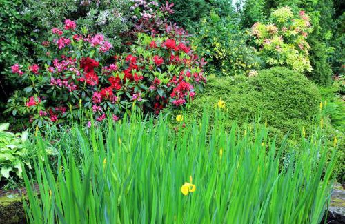 Crieff Bed & Breakfast | Westacre Bed & Breakfast