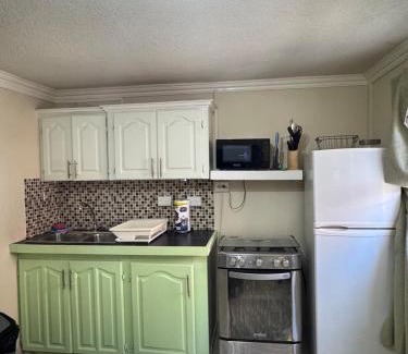 Wanstead Apartment | Westview 4