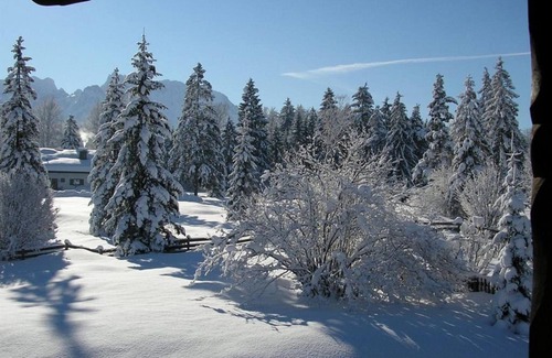Kruen Apartment | "Wetterstein Alm" apartment/living/bedroom/shower, WC - Neuner, Almenhof