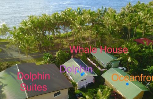 Kehena House | Whale House at Kehena Beach