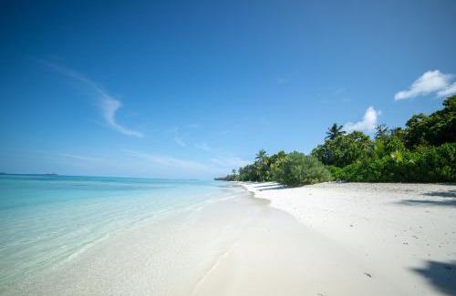 Dhigurah Hotel | Whaleshark Beach