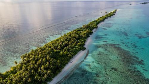 Dhigurah Hotel | Whaleshark Beach
