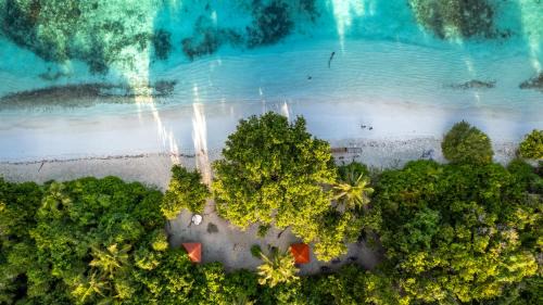 Dhigurah Hotel | Whaleshark Beach