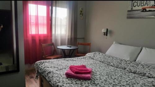 Tirana Apartment | What's Up Tirana