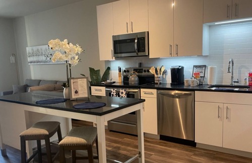 Fairfax Apartment | Where Sophistication meets Comfort