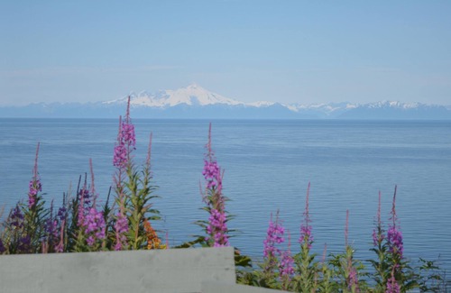 Anchor Point Cabin | Whiskey Point Cabins & RV Park