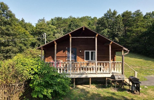 The Woods Ski Chalet | Whispering Hills - Pet Friendly - Hot Tub - Grill - Wifi - Fire Pit - Covered Porch - Screen Porch - Fireplace - View - Billiard Table - Game room