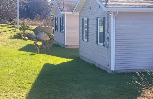 Ingomar Resort | Whispering Waves Cottages