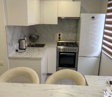 Druskininkai Apartment | White apartment