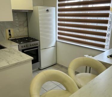 Druskininkai Apartment | White apartment
