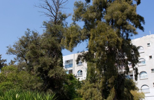 Agios Tychon Apartment | White Arches Sea View Apartment