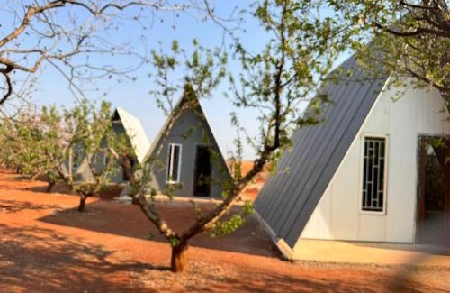 Tierpoort House | White Linen Guesthouse