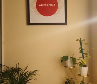 Turuk Apartment | White Orchid