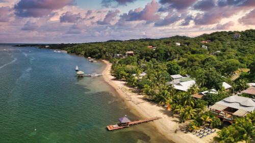 Antoneys Cay Villa | White Sand Beach, 3 Bedrooms House - Walking Distance To West End And West Bay