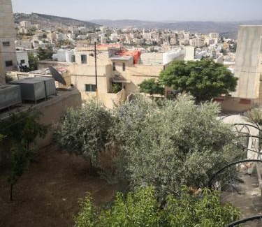 Jerash Apartment | White tulips apartment الزنبقة البيضاء
