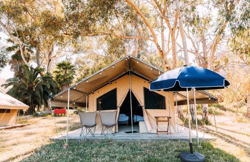 Catalina Island Other | White’s Landing Catalina Camp