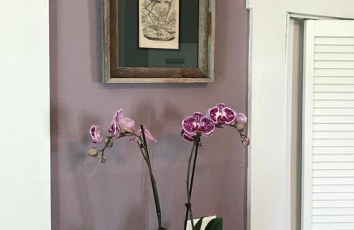 Rockport Bed & Breakfast | Whooping Crane Manor B & B