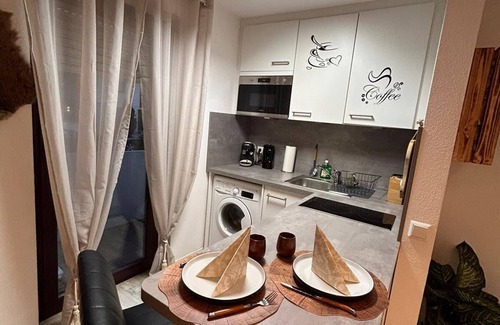 Nellingen Apartment | Wikinger Apartment Felicia