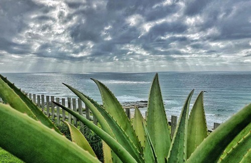 Lutsheni Cabin | Wild Coast Secrets