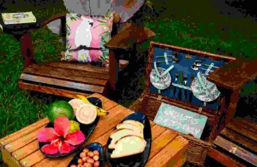 Colonarie Other | Wild Lotus Glamping