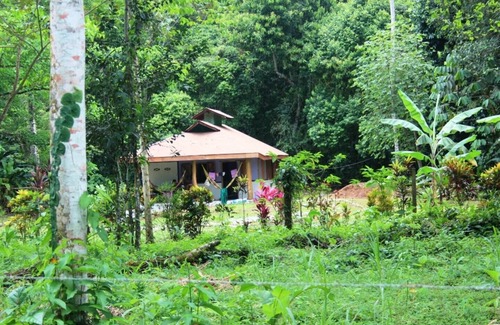 Cahuita House | Wild nature - 300 m from the beach 5 person house.