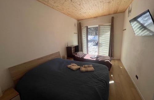 Mollia House | Wild Side