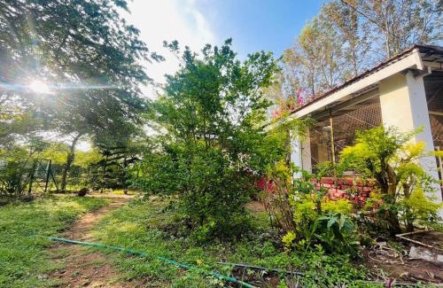 Masinagudi Bed & Breakfast | Wild Valley Club