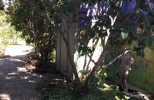 Wright Area Action Group Cottage | WiLD Vines Winery and Farm Cottage