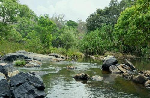 Kottappadi part Villa | Wild Wagon Service Villa