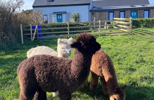 County Cork House | Wild Wild West Holiday Cottages