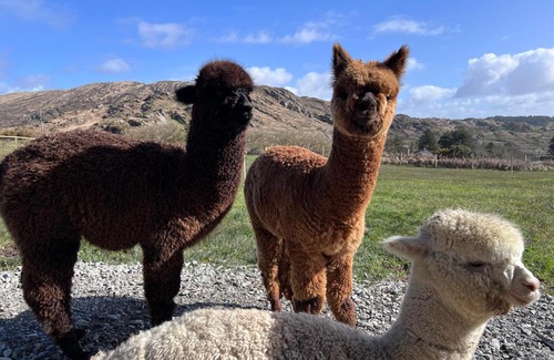County Cork House | Wild Wild West Holiday Cottages