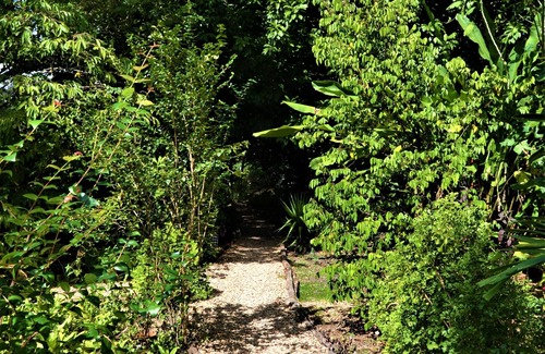 San Ignacio House | Wild & Wonderful Family-friendly 'jungle Like' Oasis in San Ignacio Belize