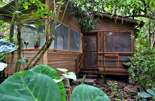 San Ignacio House | Wild & Wonderful Family-friendly 'jungle Like' Oasis in San Ignacio Belize