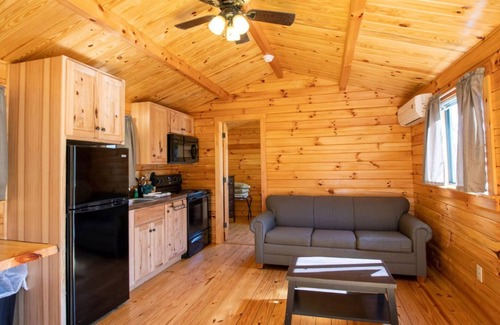 Spotsylvania Condo | Wilderness Resort Hot Tub Cabins - offering perfect views of Cool Springs Lake!