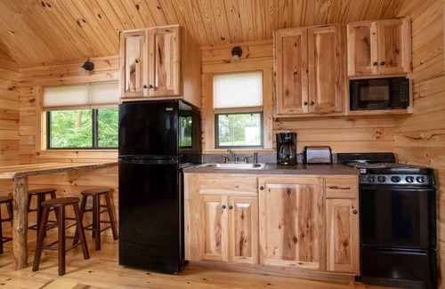 Spotsylvania Condo | Wilderness Resort Hot Tub Cabins - offering perfect views of Cool Springs Lake!