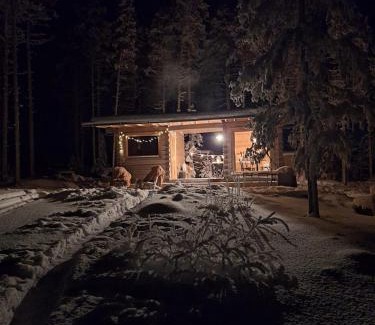 Rovaniemi House | Wilderness Cabin Onnela with sauna