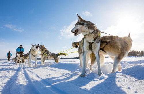 Nellimo Hotel | Wilderness Hotel Nellim & Igloos