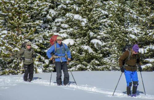 Le Roy House | Wilderness Retreat and Cross-Country Ski Center!